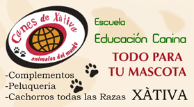 Escuela Canina